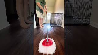 Koe Kennel Odor Eliminator