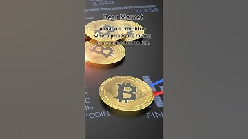 Bear Market | Must-Know Cryptocurrency Terms Explained Simply