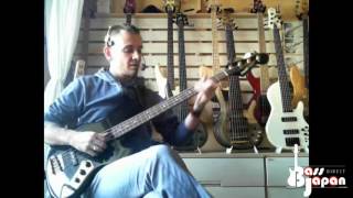 Fernandes "The Function" PJ early 80's