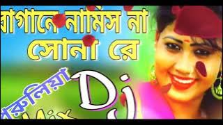Bagane Namis Na Sona Re | Jor Khayao Dayao 10 Takar Dal Bhat Dailog Mix | Dj Song