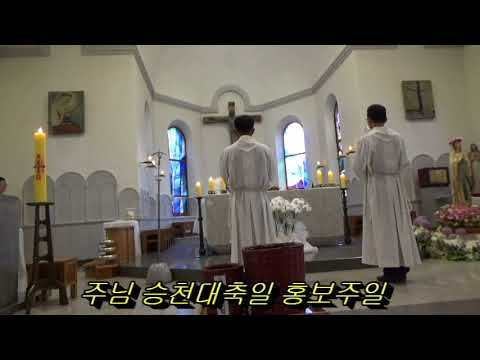 영상썸네일