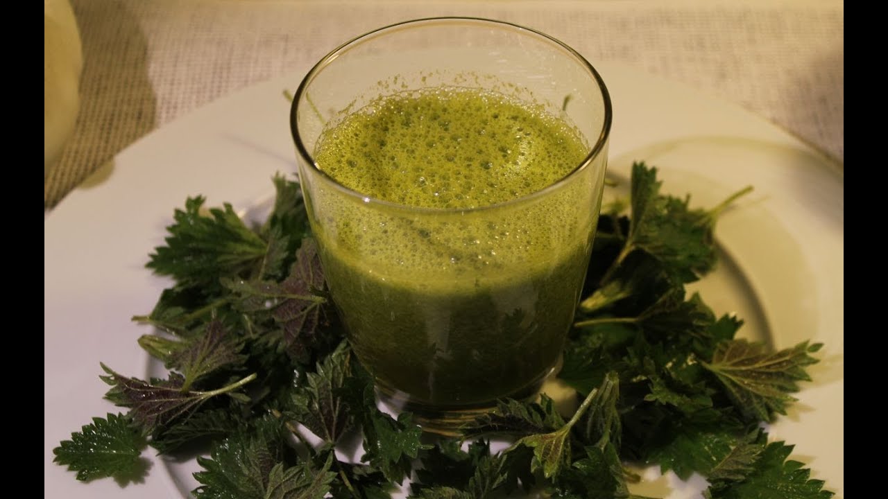 Grüner Smoothie mit Brennnesseln Rezept  --  Der Bio Koch #460
