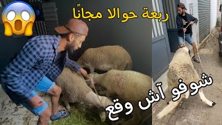 تصدمت على هادشي لي وقع ليا انا وصاحبي الله اكبر ??بسبب حاولي ?