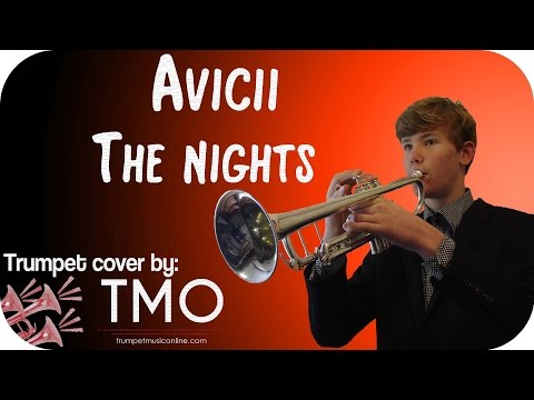 Avicii - The Nights (TMO Cover)