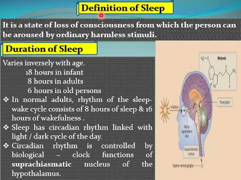12 Physiology of sleep