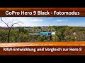 GoPro Hero 9 Black - Fotomodus - 20 MP - RAW - Entwicklung in Adobe Lightroom - Vergleich Hero 8