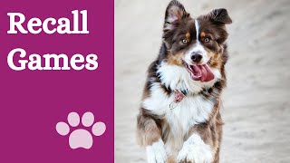 Play those 5 games and improve your dog's recall