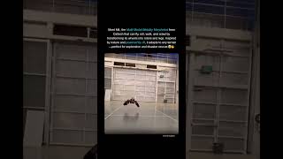 Ai Robot M4 From Caltech Moves Like No Otherfly, Walk, Roll