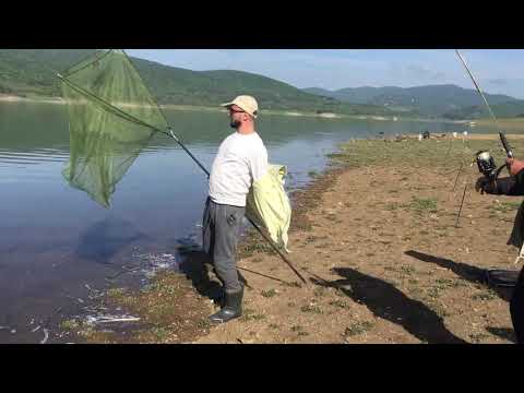 თევზაობა 2020