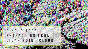 3D point Cloud analysis for Forest Inventory