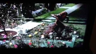 Joan Crawford Mommy Dearest Rose Garden Scene