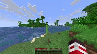 Minecraft But I Do A Line If I Take Damage Pt2