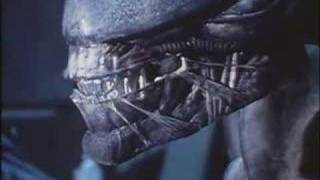 HR Giger`s Alien (sideshow replica)