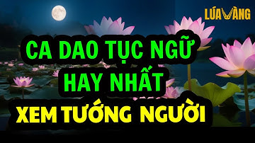 Ca dao tục ngữ Việt Nam cực hay về XEM TƯỚNG MẠO CON NGƯỜI –Thu Hà Lúa Vàng