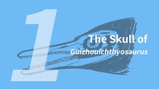 Youran the Guizhouichthyosaurus 1: Skull | Learn to Draw Marine Animals with ZHAO Chuang