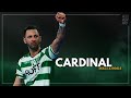 Cardinal Is The Perfect Pivot | HD