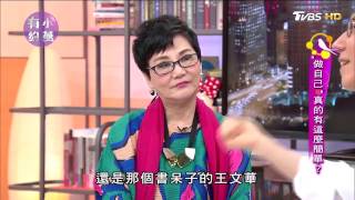 20170330 TVBS 小燕有約 - 別人怎麼看你，如何找到自己