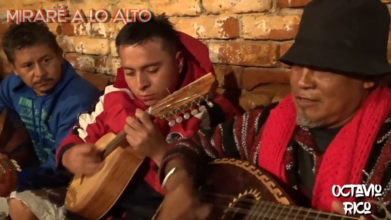 MIRARÉ A LO ALTO | OCTAVIO RICO