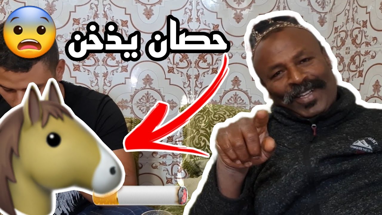 قصة بريس مع الحصان لي كيكمي 🚬🚬 وشفوا أشنوا وقع معاه 😨