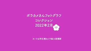 ボラカメさんフォトグラフコレクション（広報カメラ協力員２０２２年２月撮影）