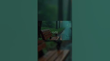 ان الله وملائكته يصلون على النبي | تلاوة خاشعة من سورةالاحزاب – الآيات 56 | بصوت ياسر الدوسري