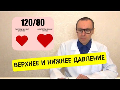 Верхнее и нижнее артериальное давление - в чём разница? Нормализация АД