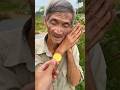 #timelapse, start to finish two buildlog cabin (wooden house), howto build wooden cabin, part 2