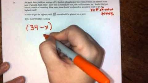 Apple farm word problem