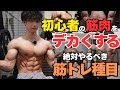 【筋トレ初心者の方へ】筋肉をデカくしたい方は絶対やってください