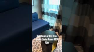 Spectrum of the Seas Junior Suite room tour #cruise #suite #royalcaribbean #tour