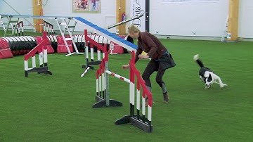 International Agility Training Week - Front Cross, Reality line, Lead change - preview