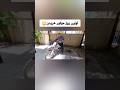 موتورم روشن نمیشه موتور