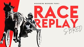 Mohawk, Sbred, May 16, 2024 Race 8 | Woodbine Horse Race Replay