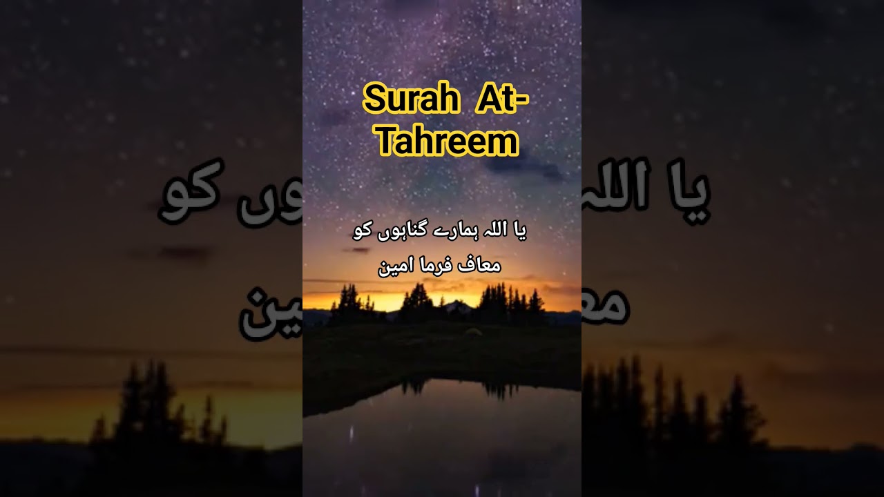 :Bayan Quotes with Quran Translation | Heart-Touching Islamic Reminder