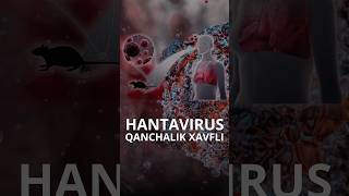 Hantavirusga qarshi vaksina ham davolash protokoli ham mavjud emas #uznews #news #hantavirus