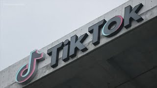 TikTok returns to app stores overnight