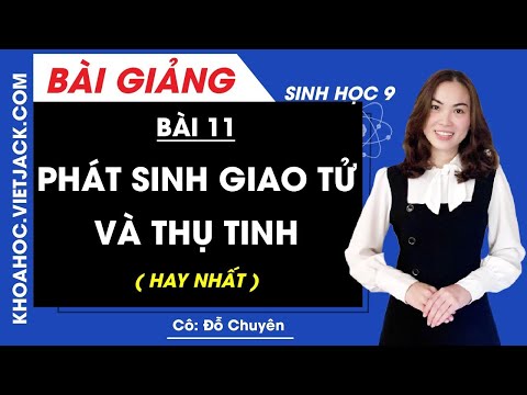 Video Phát sinh giao tử và thụ tinh - Bài 11 - Sinh học 9 -... - youtube