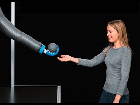 Festo – BionicMotionRobot (Deutsch)