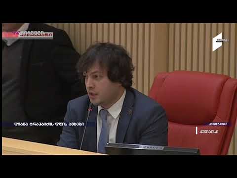 ხელჩართული ჩხუბი პარლამენტში- ირმა ინაშვილს მელია საცემად გაჰყავს