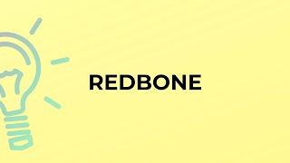What is the meaning of the word REDBONE