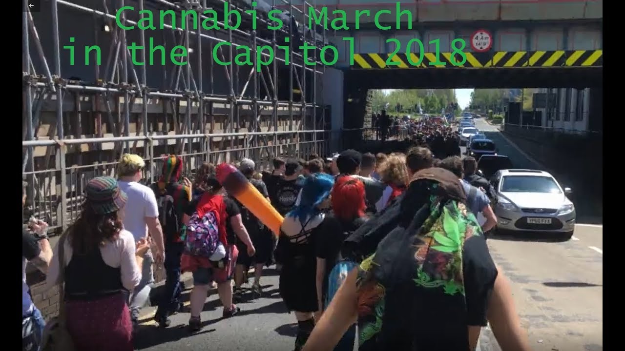 Cardiff Cannabis March 2018 (In under a minute)