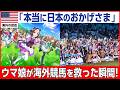 【海外の反応】「日本人にしか出来ない」アメリカの名門競馬場が日本のゲームで蘇った理由