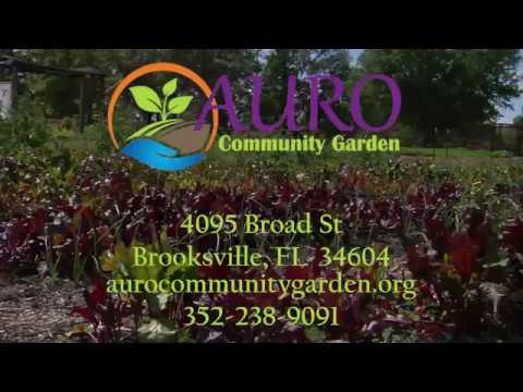 Auro Community Garden