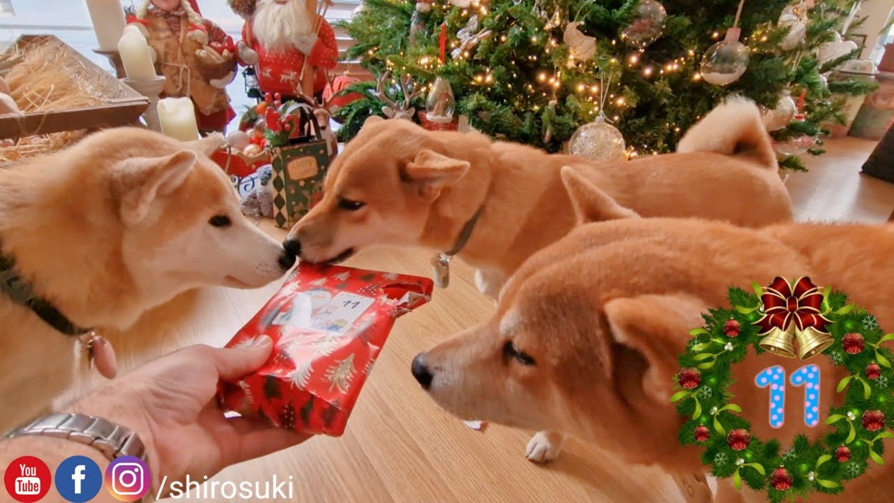 Present Advent Calendar Kids Present Advent Calendar Kids