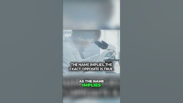 Discover Ontological Mathematics - The Key to Universal Truth #universe #matrix #enlightenment