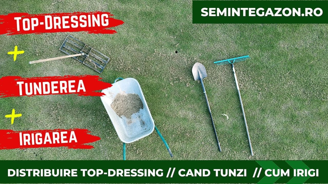 Top dressing-ul, tunderea și irigarea după supraînsămânțarea gazonului - semintegazon.ro