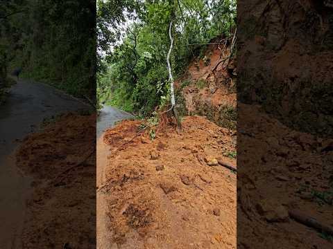 Flood Updates: പലയിടത്തും മണ്ണിടിച്ചിൽ ഉണ്ടായി റോഡ് ബ്ലോക്കാണ്. #flood #news #pala #thodupuzha