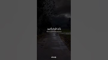 أرح سمعك 😴🎧|عبد الرحمن مسعد|سورة آل عمران #اكسبلور #لايك #عبدالرحمن_مسعد #تلاوة_خاشعة #quran