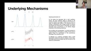 Talk: Collective response of oscillating neuronal population to the applied perturbation: a computa…