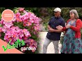 Vasili Meets A Woman That Is Obsessed With Flowers And Plants | Full Episode | Vasili&#39;s Garden